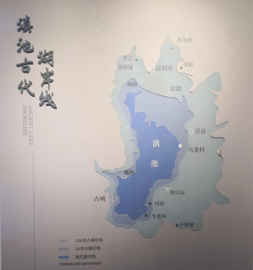 滇池水位和面积的关系